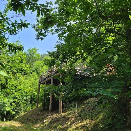 Maison d'hôtes Loz'aire Naturelle *